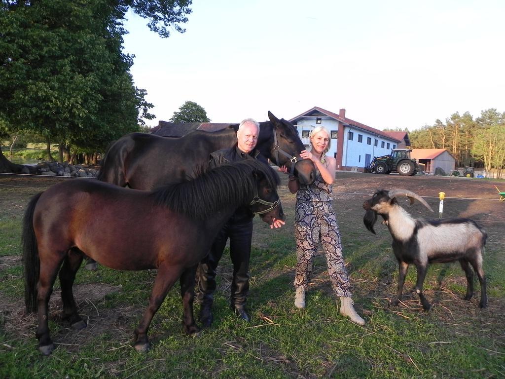 Gutshof Dragefeld Villa Krzyż Exteriör bild