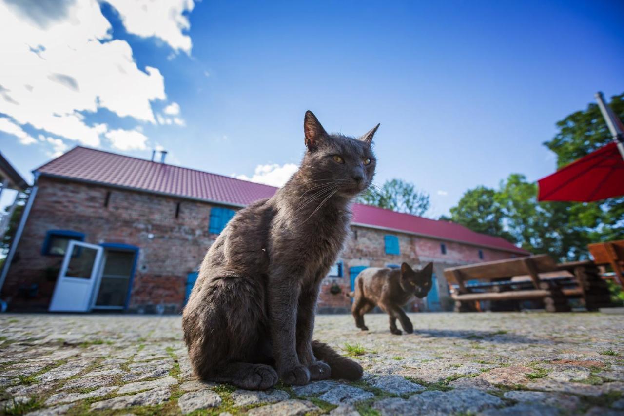 Gutshof Dragefeld Villa Krzyż Exteriör bild